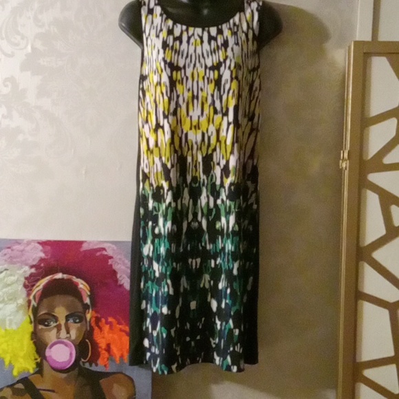 Banana Republic Sleeveless Dress S - Picture 1 of 7